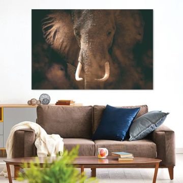Картина пано - Царски слон 118x78см.